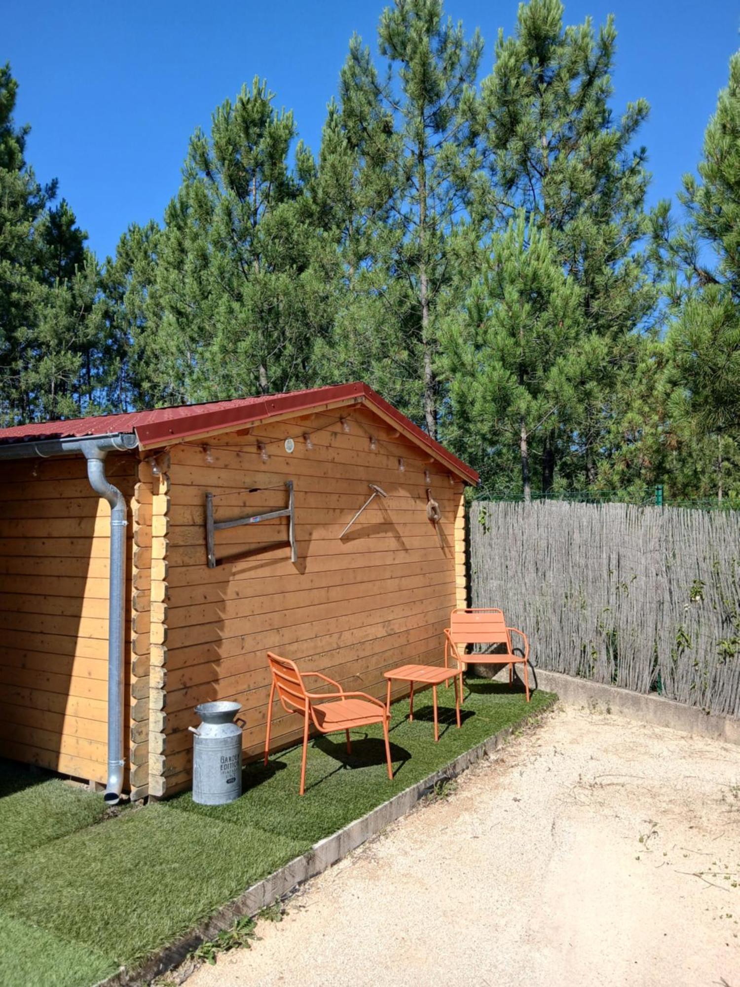 Chalet Charmant Avec Piscine Mercuer エクステリア 写真
